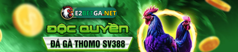 E2BETGA.NET